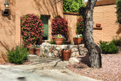 DSCN5195.Xpng_